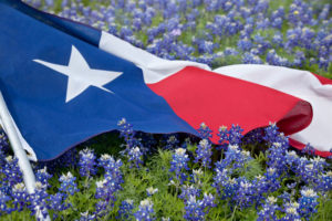 Texas flag in a field of bluebonnets